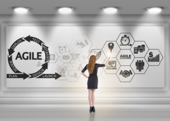 software development cost